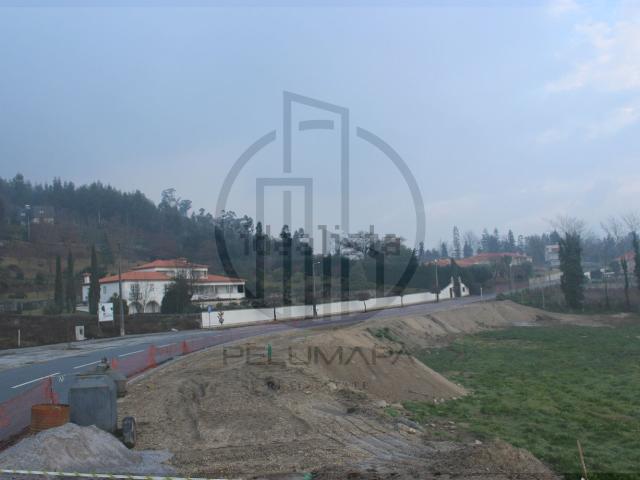 Terreno, Vermil