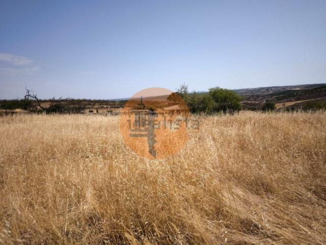 Terreno, Alcoutim e Pereiro