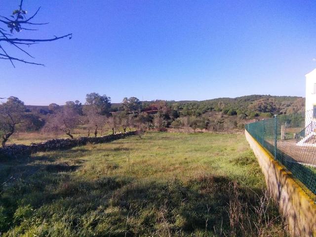 Terreno, Alcoutim e Pereiro