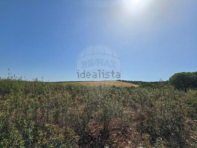 Terreno, Alcoutim e Pereiro