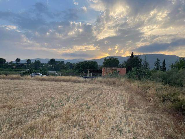 Terreno, Alcover