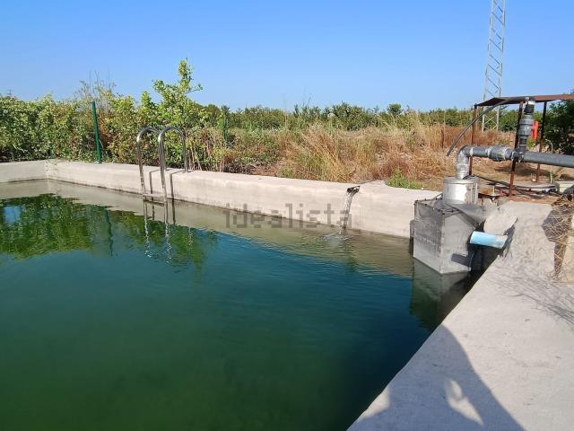 Terreno, Alcover