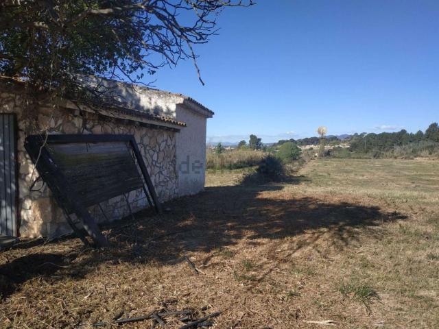 Terreno, Alcover
