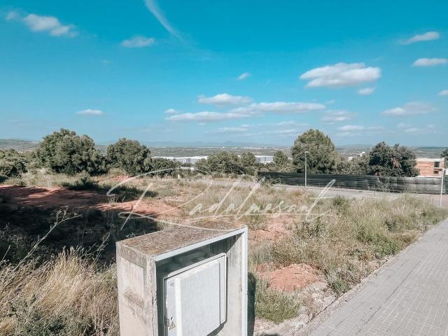Terreno, Alcover