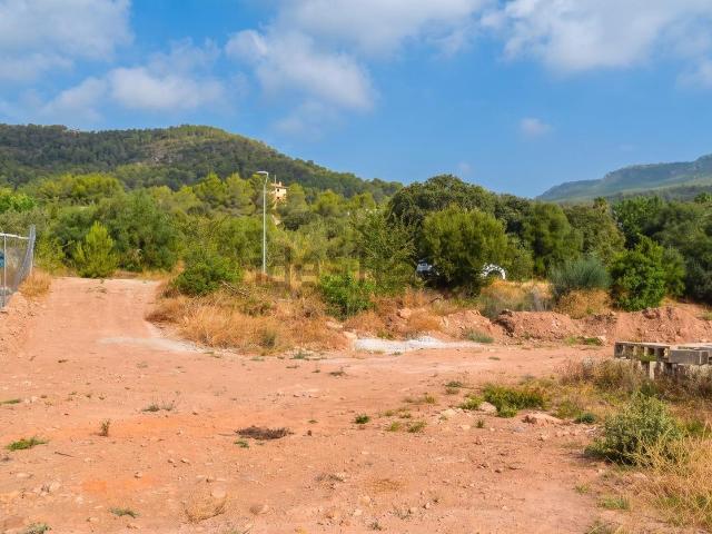 Terreno, Alcover