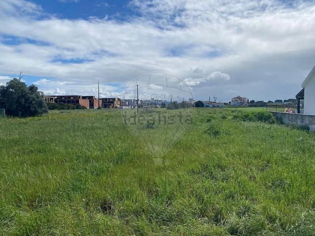 Terreno, Alcochete