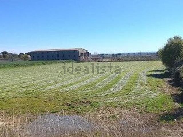 Terreno, Alcoletge