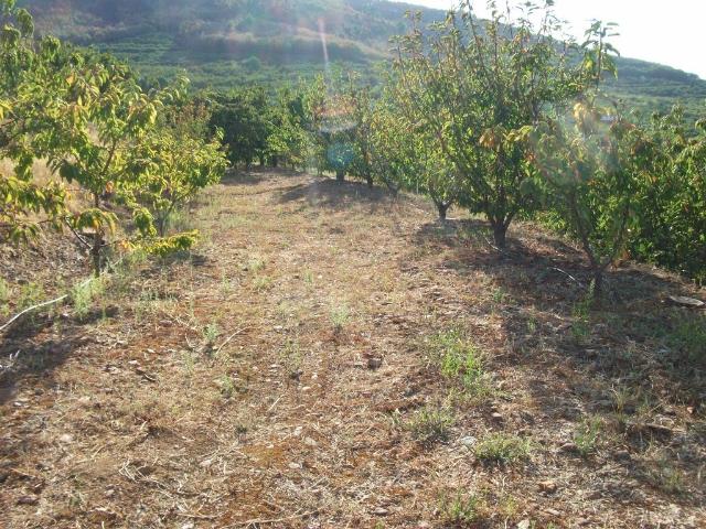 Terreno, Alcongosta, Fundão | BPI Expresso Imobiliário