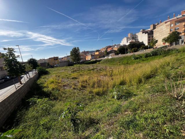 Terreno, Alcora
