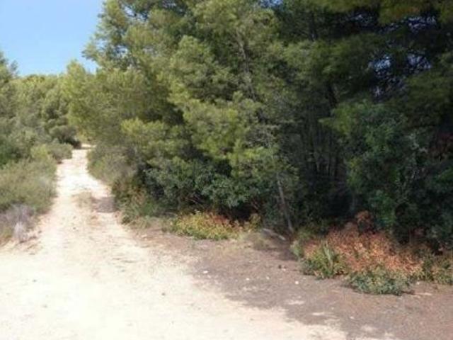 Terreno, Alcora
