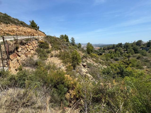 Terreno, Alcora