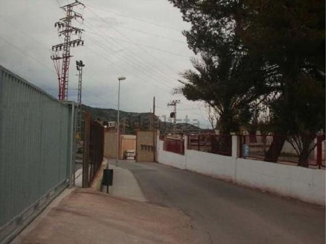 Terreno, Alcora