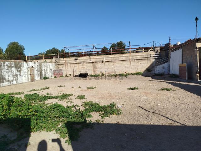 Terreno, Alcora