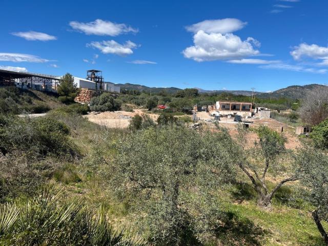 Terreno, Alcora