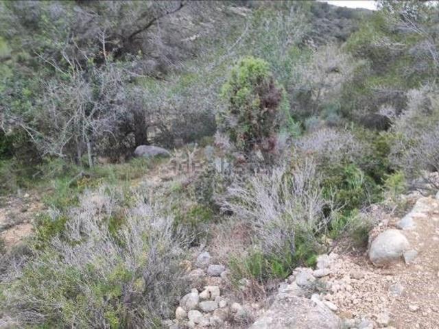 Terreno, Alcossebre
