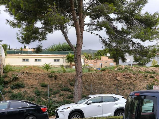 Terreno, Alcossebre