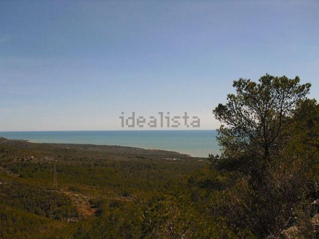 Terreno, Alcossebre