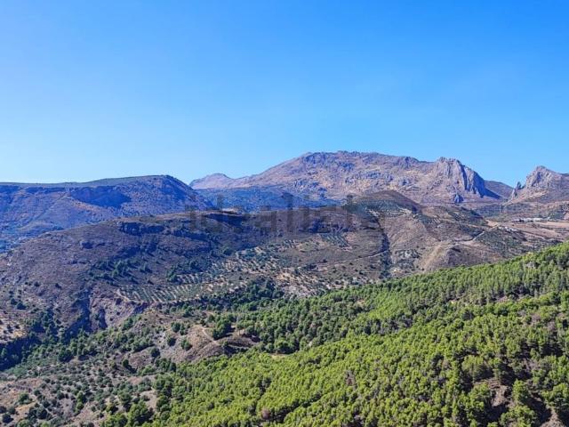 Terreno, Alcaucín