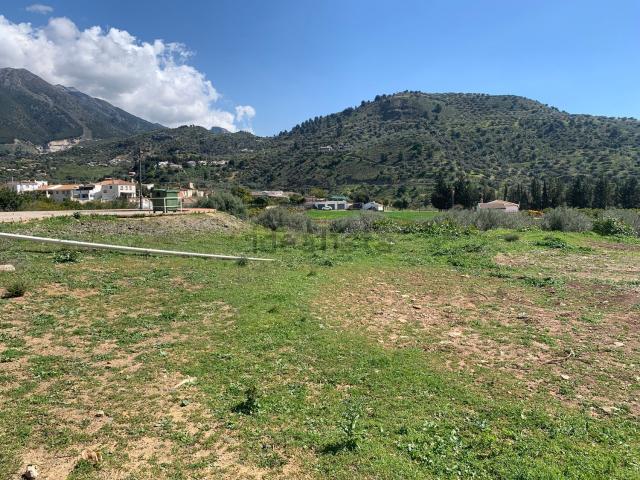 Terreno, Alcaucín