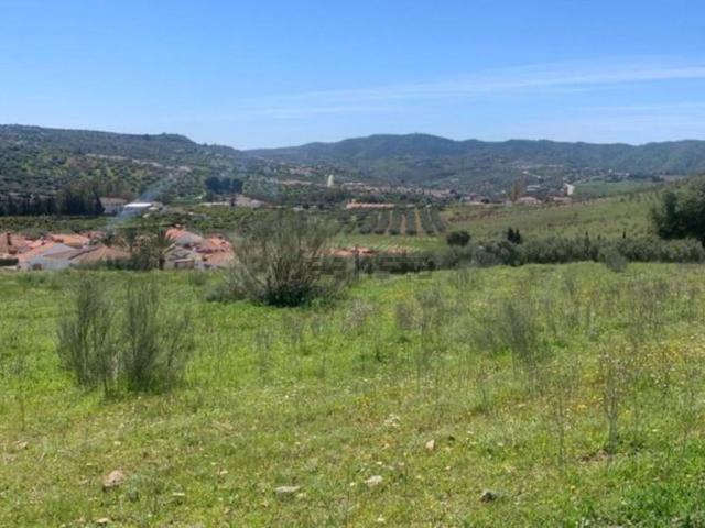Terreno, Alcaucín