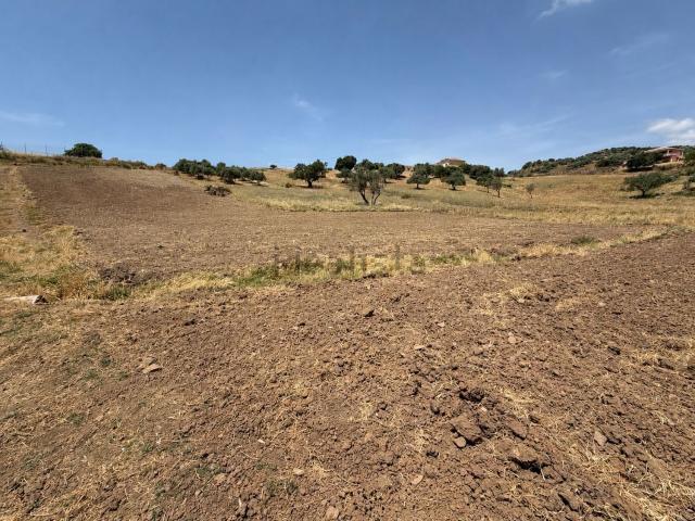 Terreno, Alcaucín