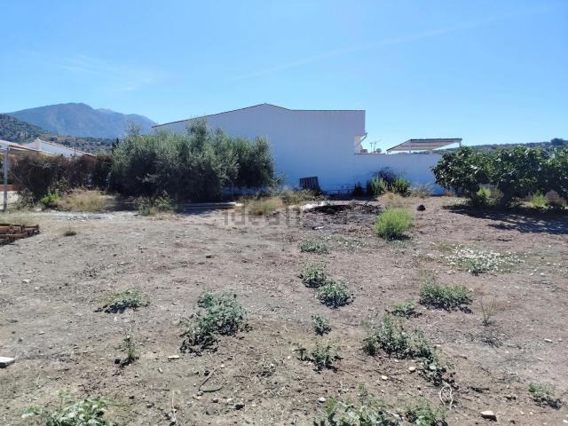 Terreno, Alcaucín
