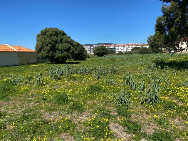 Terreno, Alcabideche