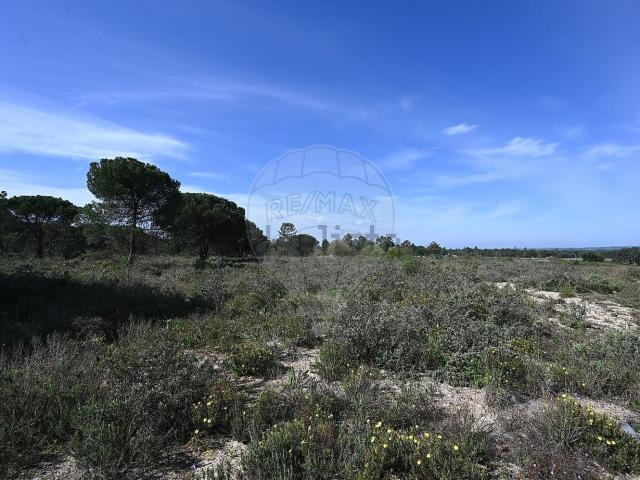 Terreno, Alcácer do Sal Santa Maria do Castelo