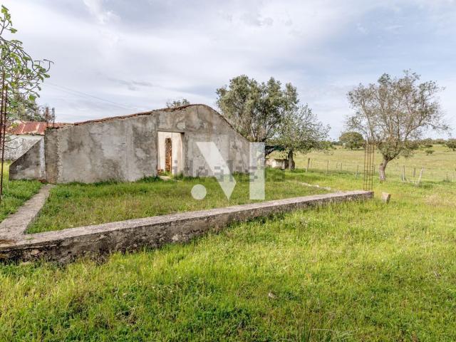 Terreno, Alcácer do Sal e Santa Susana