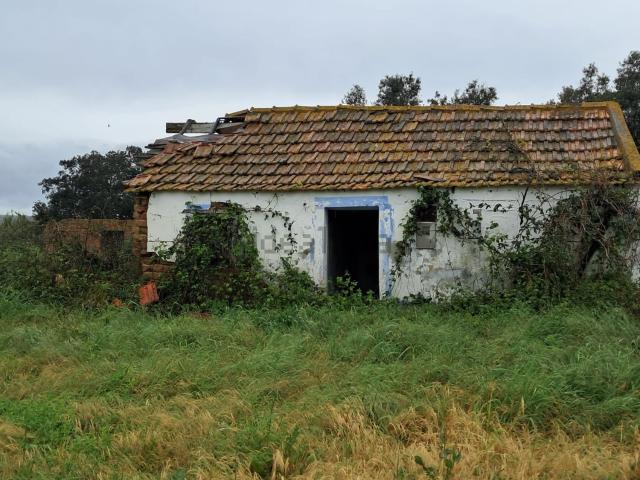 Terreno, Alcácer do Sal Santa Maria do Castelo