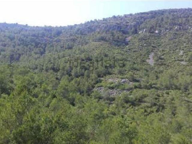 Terreno, Alcalá de Chivert