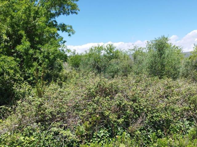 Terreno, Alcalá de Chivert