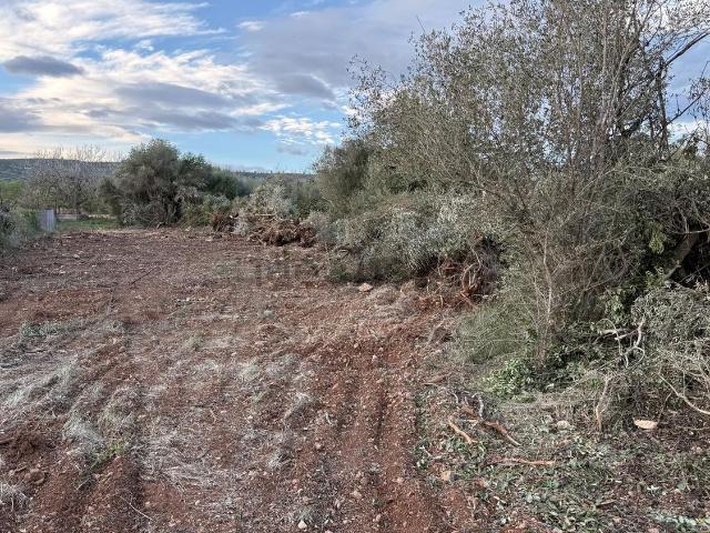 Terreno, Alcalá de Chivert