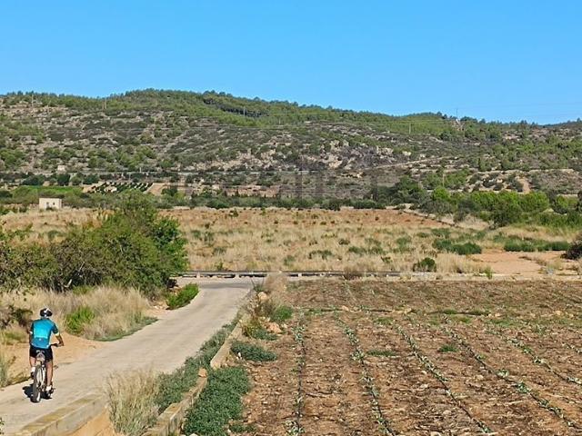 Terreno, Alcalá de Chivert