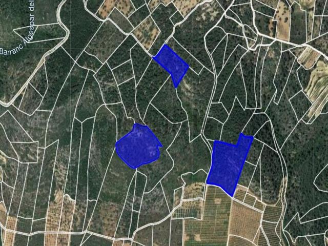 Terreno, Alcalá de Chivert