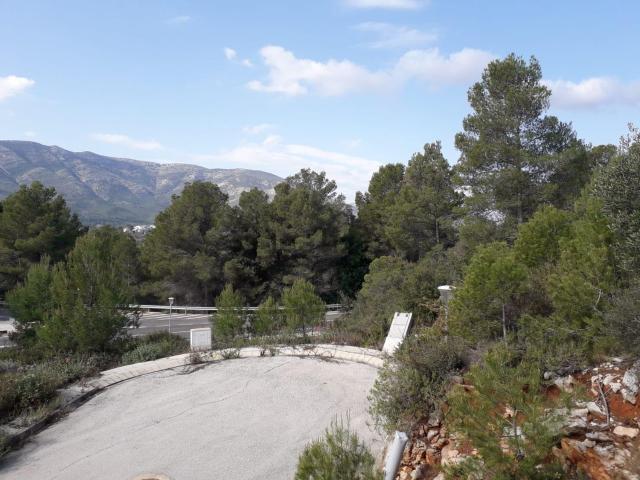 Terreno, Alcalalí