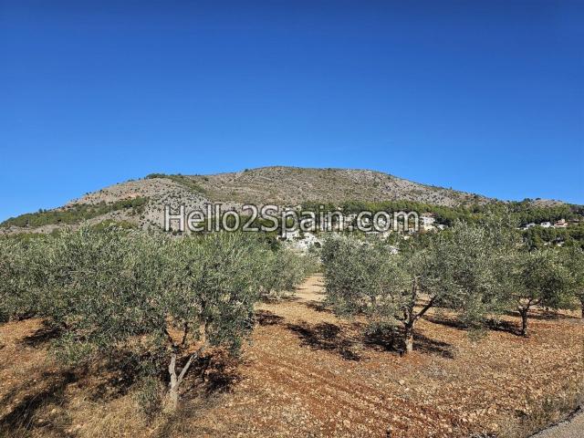 Terreno, Alcalalí