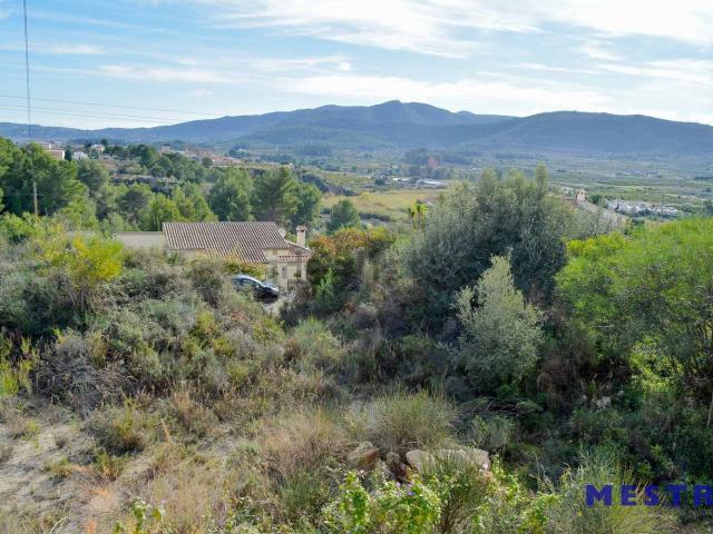 Terreno, Alcalalí