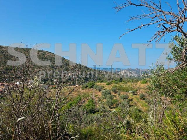 Terreno, Alcalalí