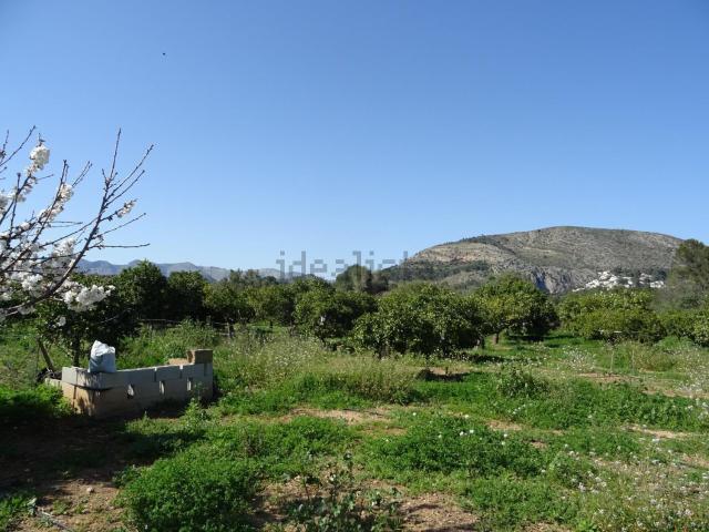 Terreno, Alcalalí