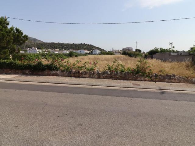 Terreno, Alcanar