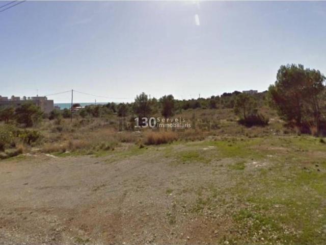 Terreno, Alcanar