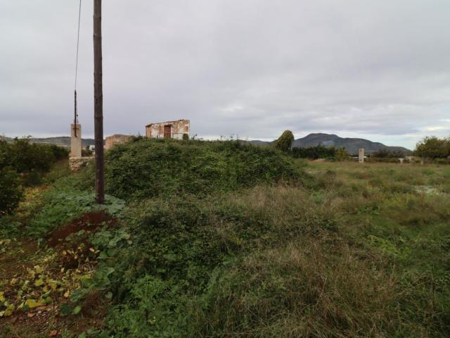 Terreno, Alcanar