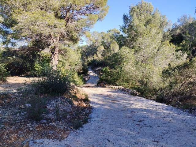 Terreno, Alcanar