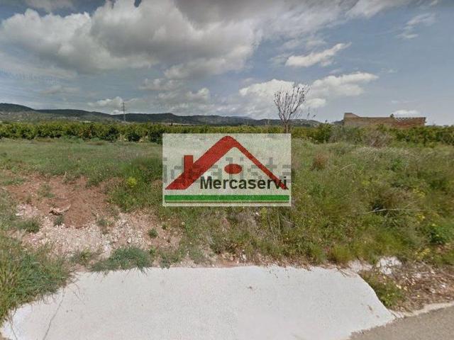 Terreno, Alcanar