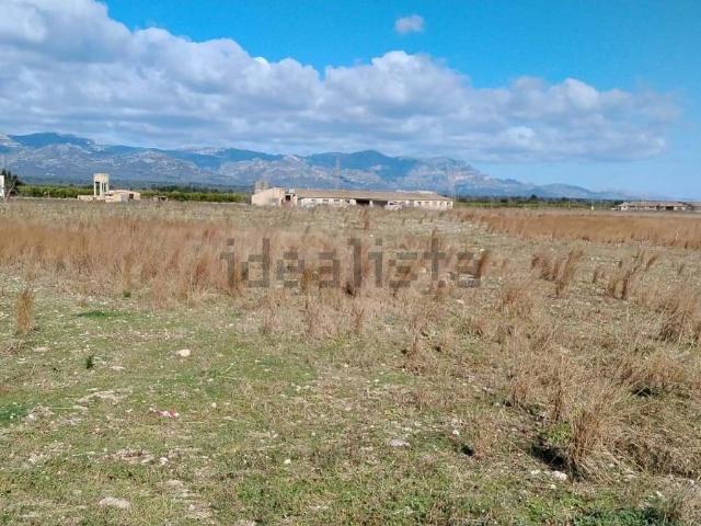 Terreno, Alcanar