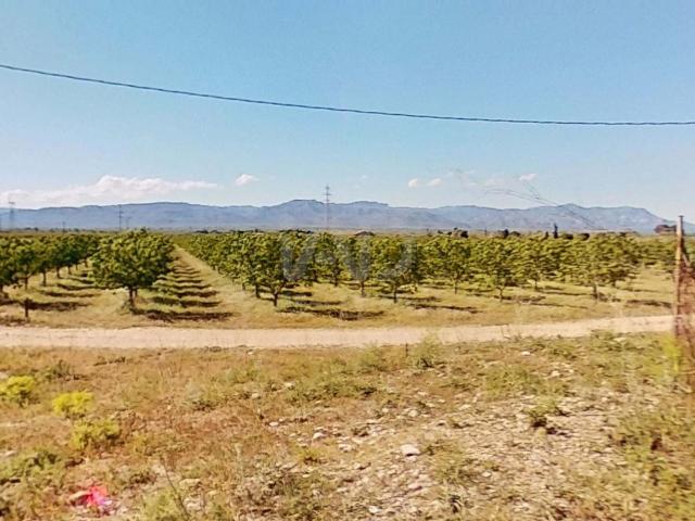 Terreno, Alcanar