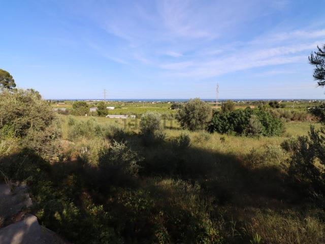 Terreno, Alcanar