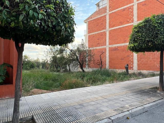 Terreno, Alcanar