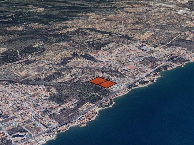 Terreno, Alcanar